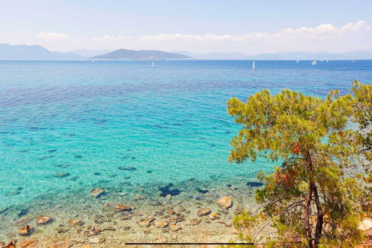 Where to Find Marijuana in Aegina, Greece