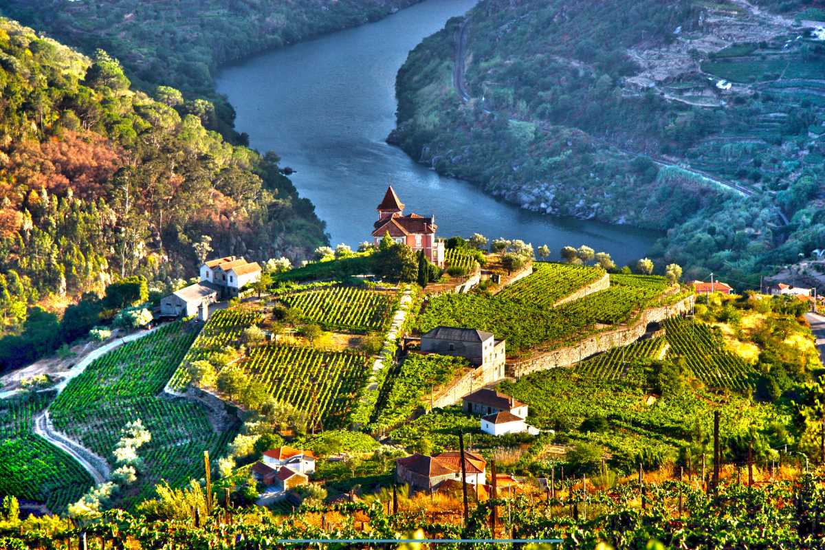 Where to Find Marijuana in the Douro Valley, Northern Portugal: A Friendly Guide for Smokers