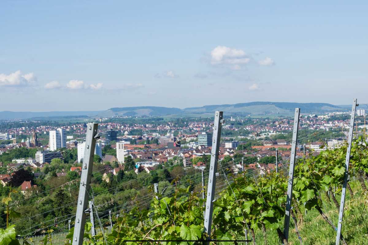 Where to Find Marijuana in Heilbronn, Baden-Württemberg, Germany: A Friendly Guide for Smokers