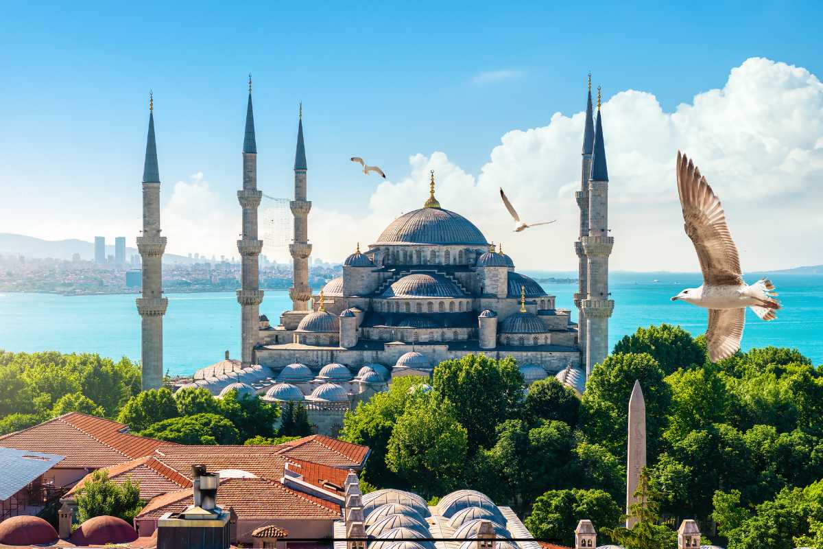 Where to Find Marijuana in Istanbul, Turkey: A Guide for Enthusiasts