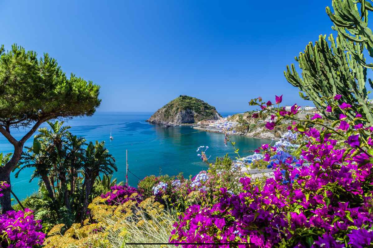 Where to Find Marijuana in Ischia, Campania, Italy